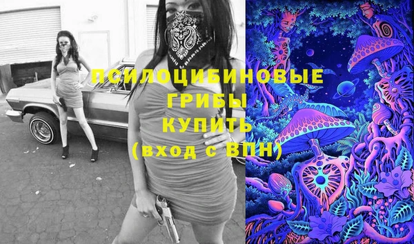 гашик Липки