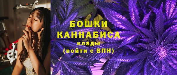 гашик Липки
