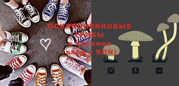 спайс Лихославль