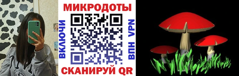 Псилоцибиновые грибы GOLDEN TEACHER  Купить где  Котовск 